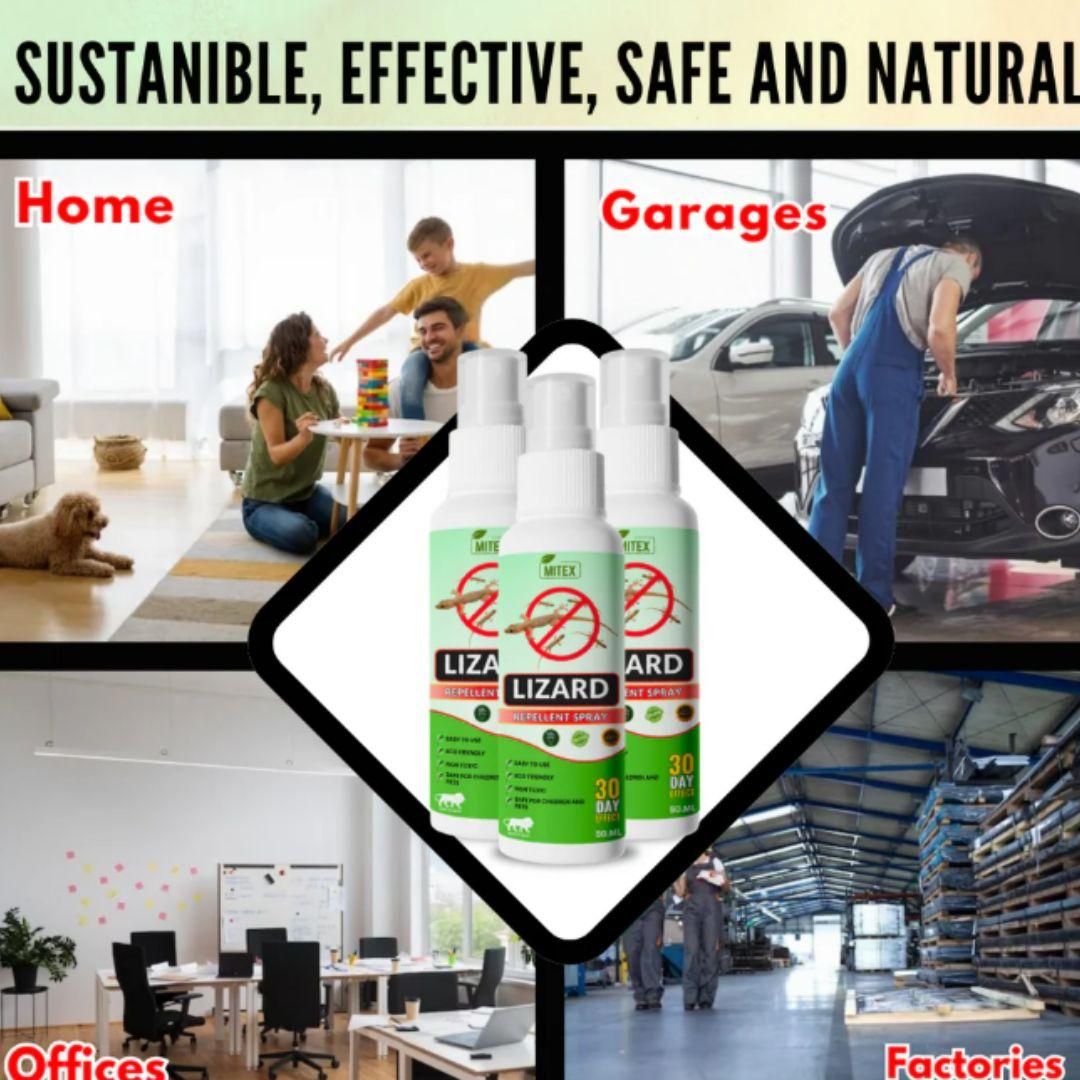 Lizard Repellent Spray 50ml (Pack of 3)