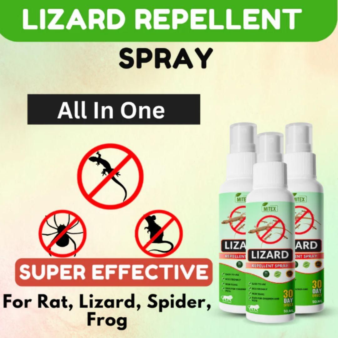 Lizard Repellent Spray 50ml (Pack of 3)