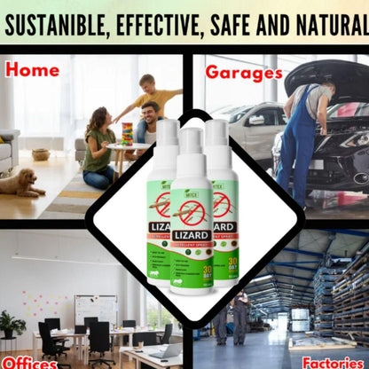 Lizard Repellent Spray 50ml (Pack of 3)